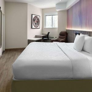 Camera adatta alle persone a mobilità ridotta con letto king size